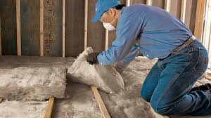 Best Insulation for Existing Homes  in Addison, IL